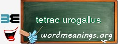 WordMeaning blackboard for tetrao urogallus